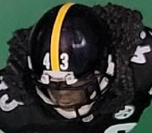 Troy Polamalu NFL 29 black jersey - DRJ West Texas