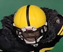 Troy Polamalu NFL 29 tb uniform - DRJ West Texas