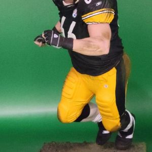AF NFL 16 Steelers 3