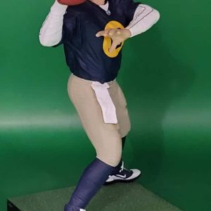 AR NFL 27 Acme Packers 5