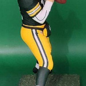 AR NFL 29 green jersey 5