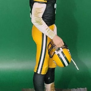 BF NFL 12 no towel 5