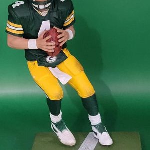 BF NFL 4 pack Packers wfj 2