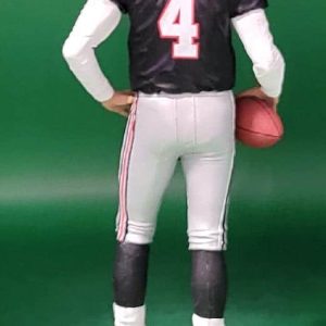 BF NFL 4 packFalcons bfj 4