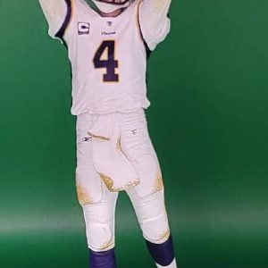 BF NFL Elite 1 Vikings 2