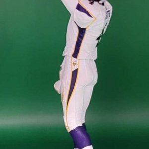 BF NFL Elite 1 Vikings 3