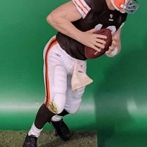 BQ NFL 16 Browns 5