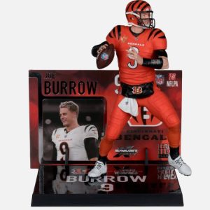 Joe Burrow 2025