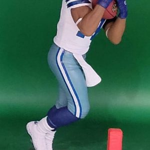 MA NFL 27 #14 396 of 500 5