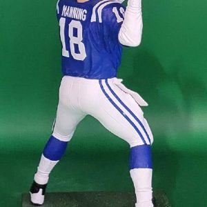 PM NFL 2 pack Colts 4