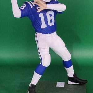 PM NFL 2 pack Colts 5