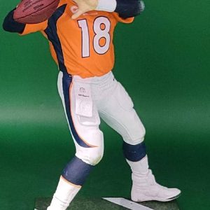 PM NFL 34 orange jersey 5