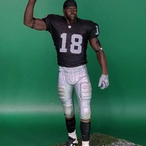 RM NFL 13 Raiders 2
