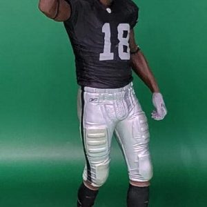 RM NFL 13 Raiders 5