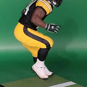 RM NFL 2 pack Steelers 5