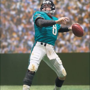 nfl2_mbrunell_photo_01_dp